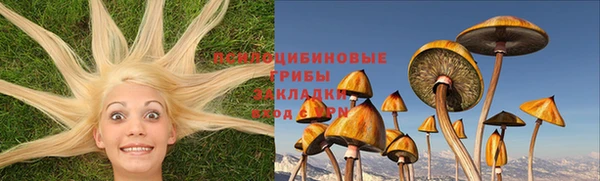 ешки Аркадак