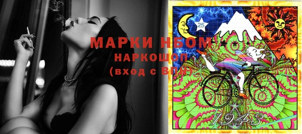 ешки Аркадак