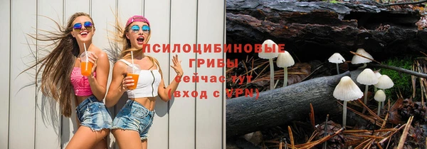 ешки Аркадак