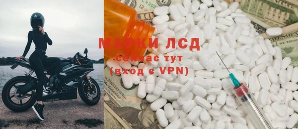 ешки Аркадак