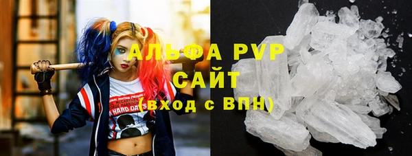 ешки Аркадак