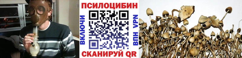 МЕГА зеркало  Шадринск  Псилоцибиновые грибы MAGIC MUSHROOMS 